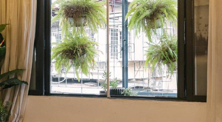 OH Trendy homes Hoan Kiem LPH — photo 4