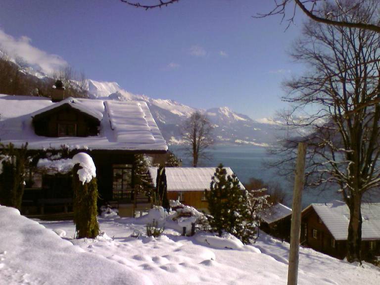 foto11