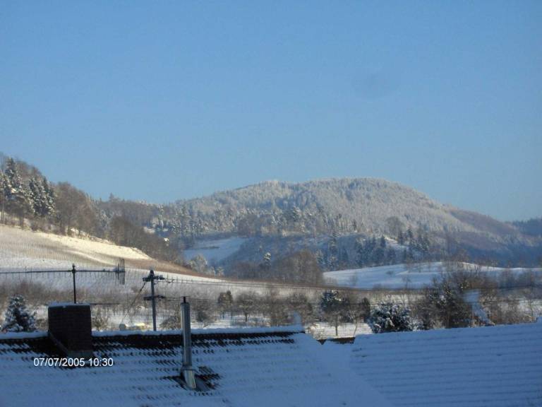 foto8