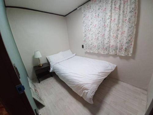foto11