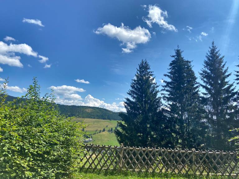foto10