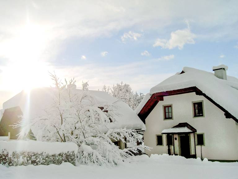 foto12