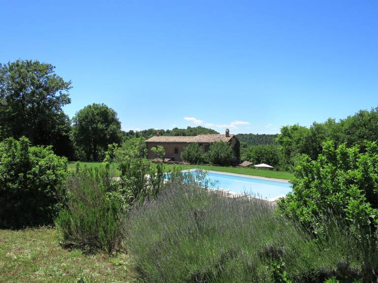 Vacation home with garden, BBQ & private pool | Nature view — photo 4