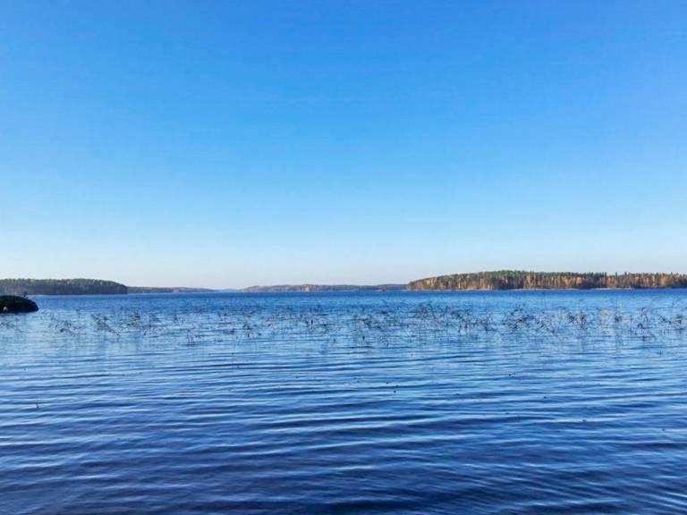 Vacation home with sauna | Nature view — photo 3