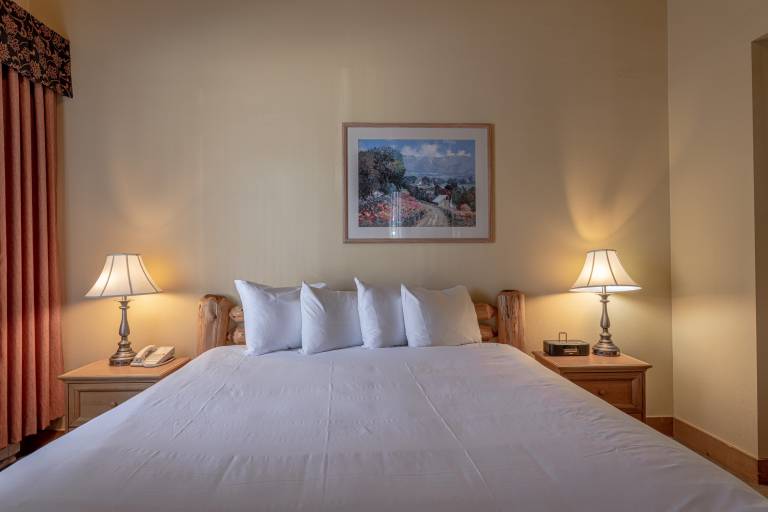 Cozy Pet-Friendly King Studio in Mt. Crested Butte — photo 3