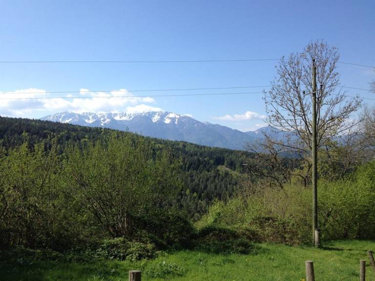foto43