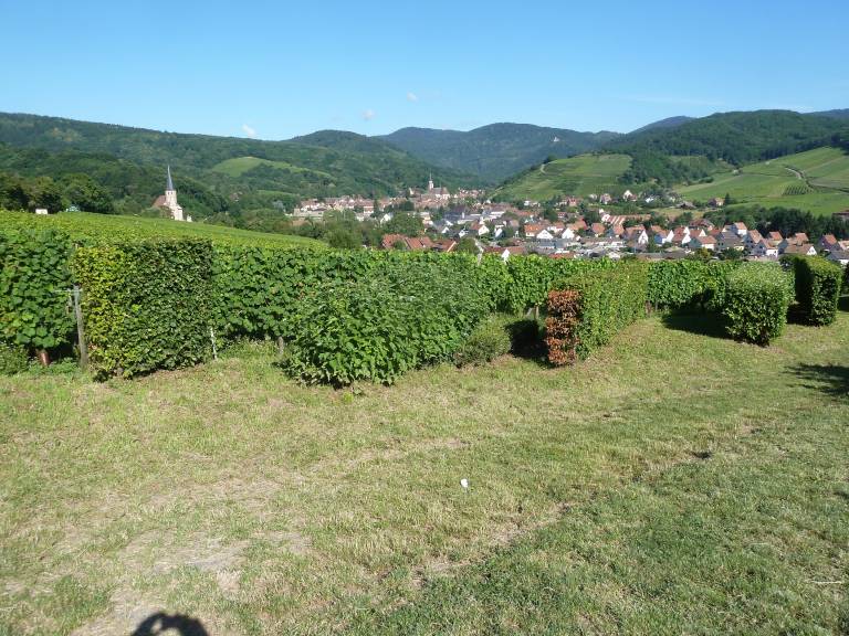 foto9