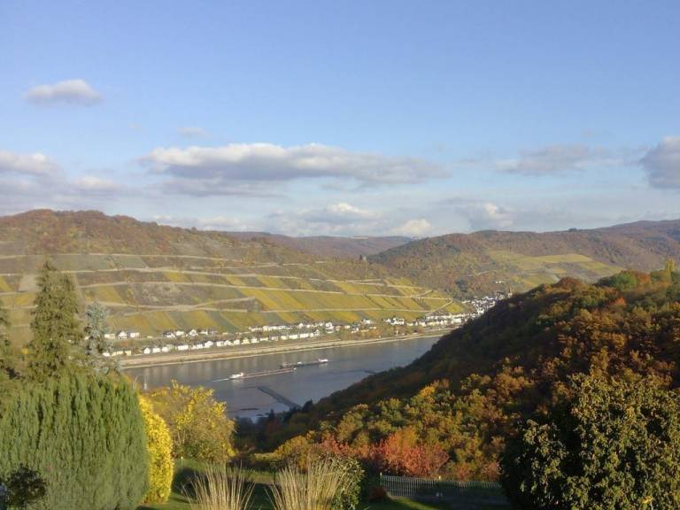 Ferienwohnung Bacharach