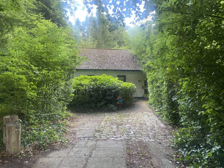 foto2