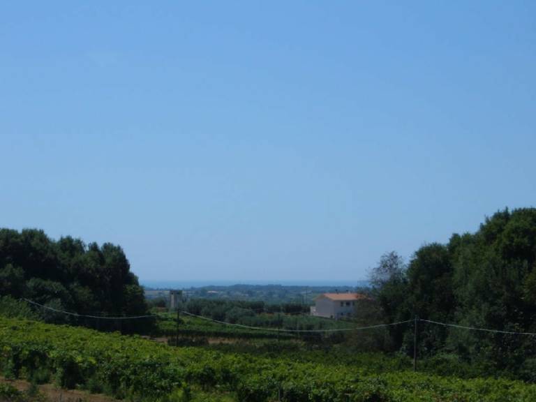 foto12