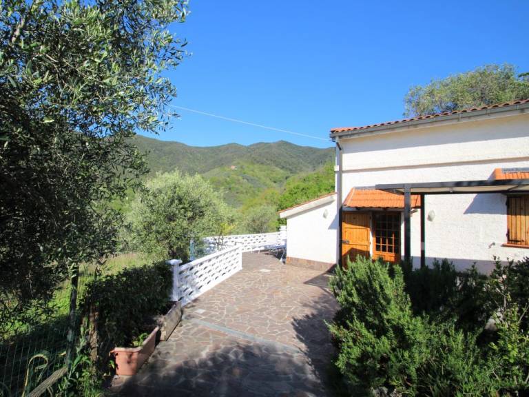 foto3