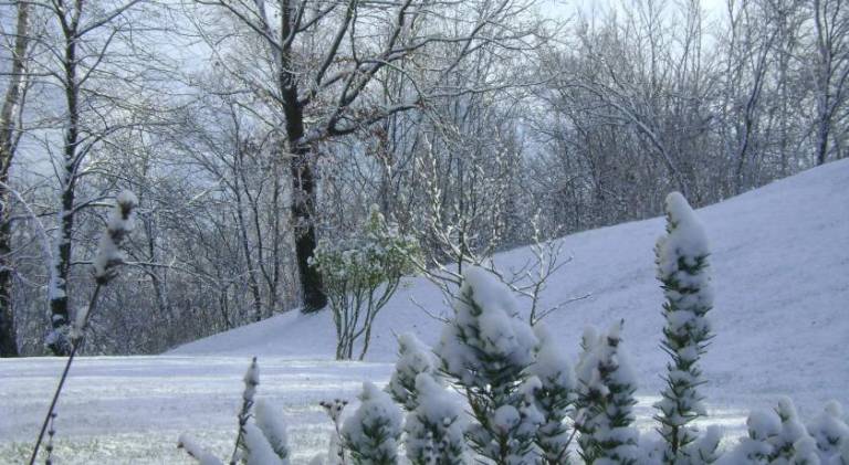 foto41