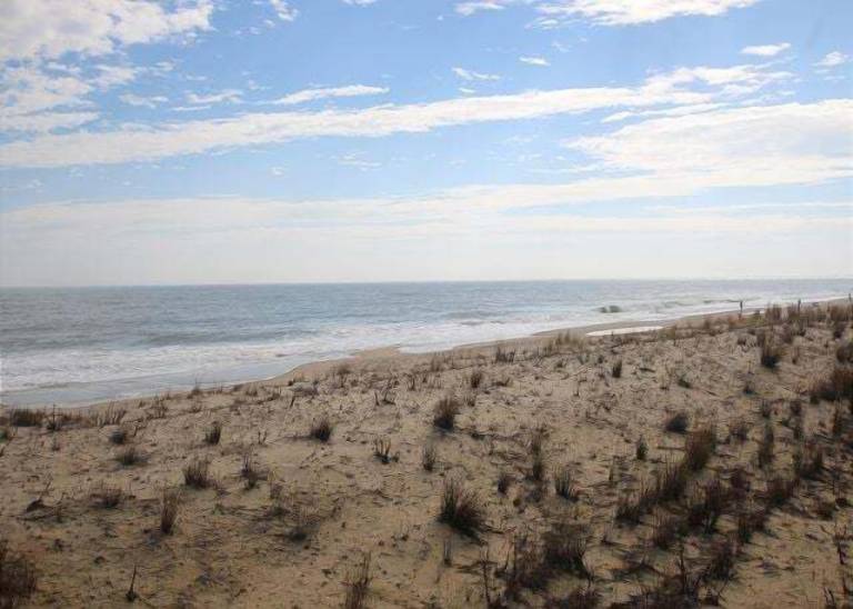 House Dewey Beach
