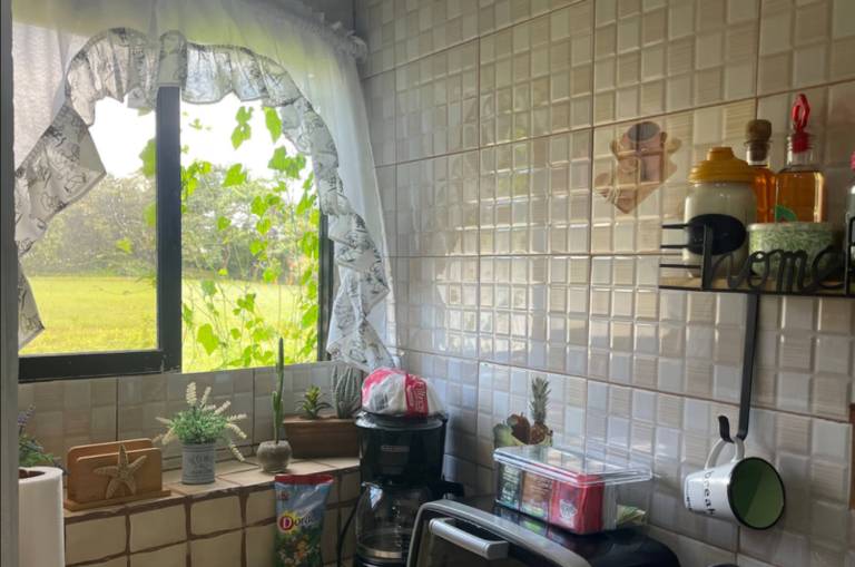 Apartment | Nature view in Tamarindo