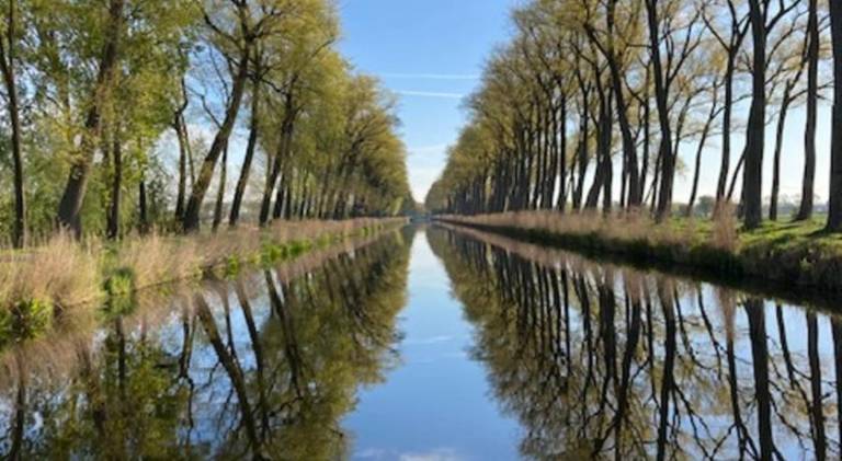foto10