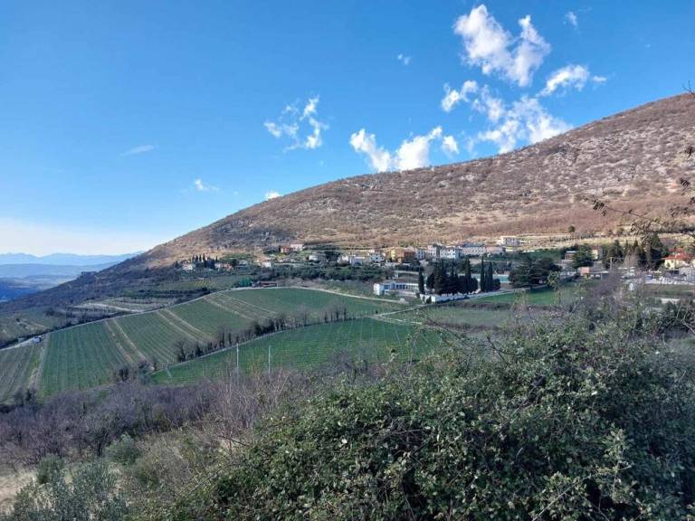 Apartment  Sant'Ambrogio di Valpolicella