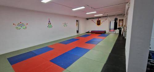foto6