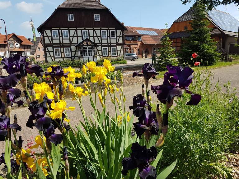 foto14