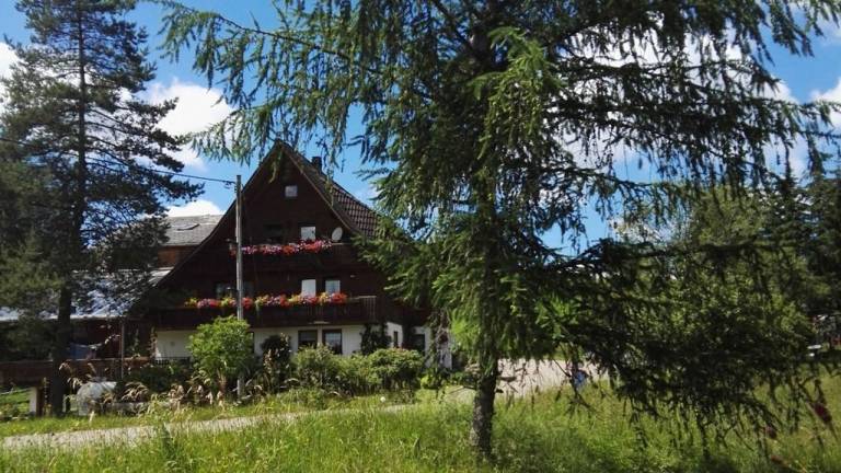 Ferienwohnung  Titisee-Neustadt