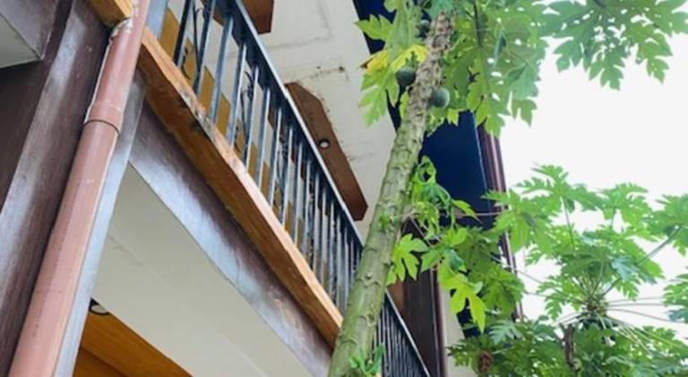 Jenises Inn — photo 5