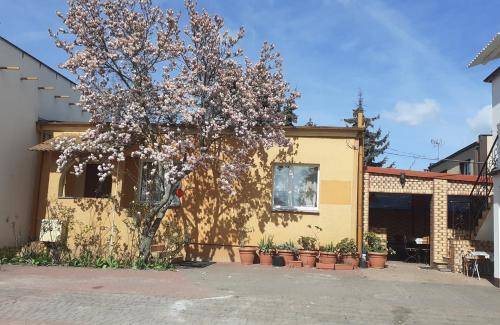 Apartament  Gniezno