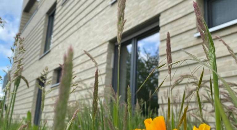 Holiday apartment with garden, sauna & terrace — photo 5