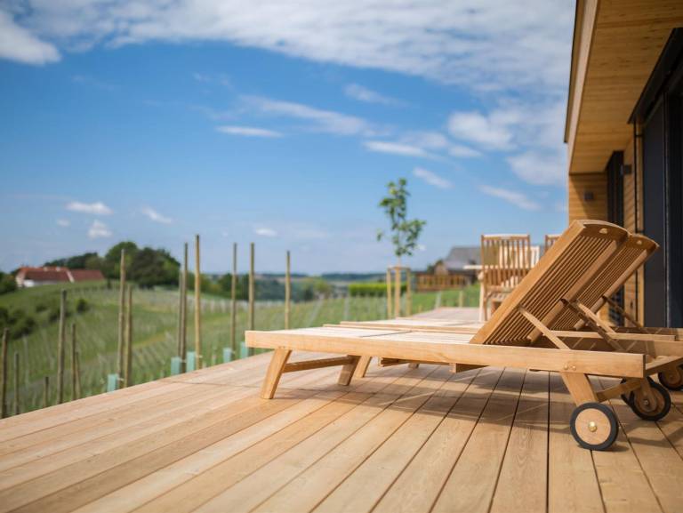 House Weinberg an der Raab
