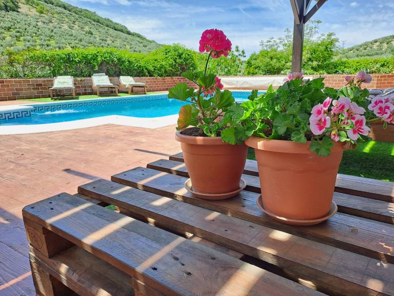 Pension Lojilla
