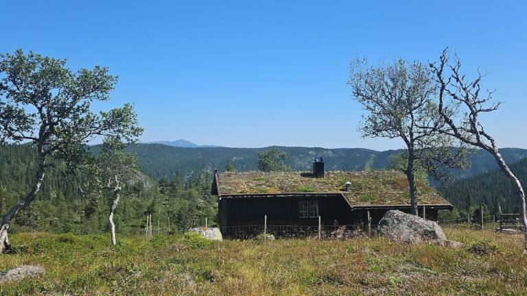 House with garden, terrace & barbecue in Vinje