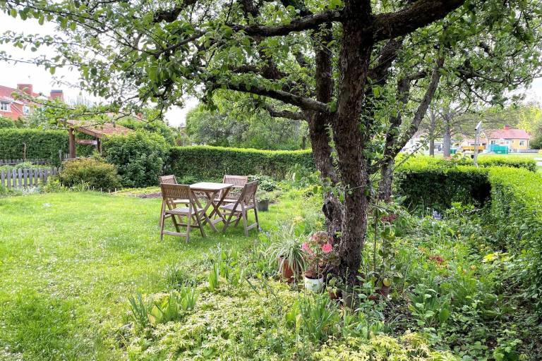 Fully equipped wonderful vacation home with grill, patio & yard | Pet-friendly — photo 3