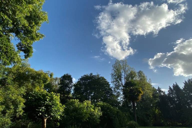 foto27