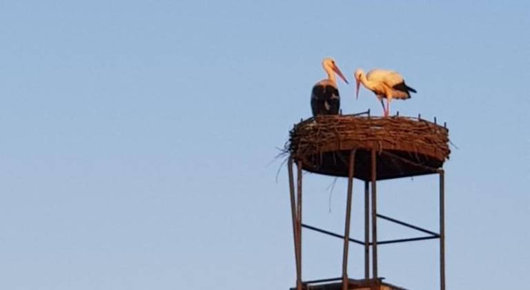 Ferienhaus Hohnstein