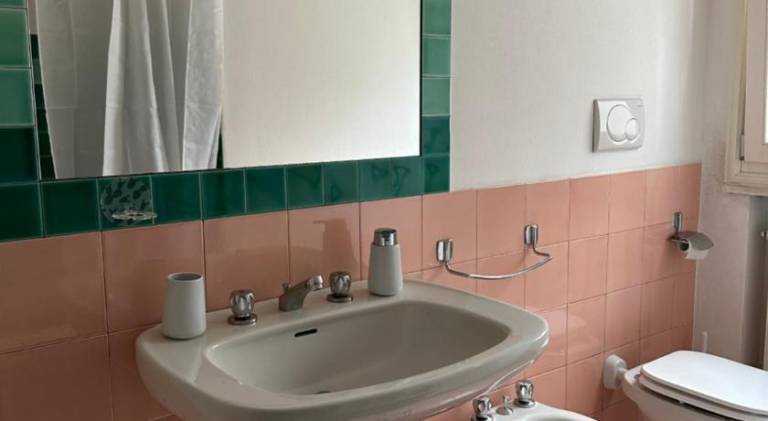 Beautiful rental apartment | Pets are welcome — photo 3