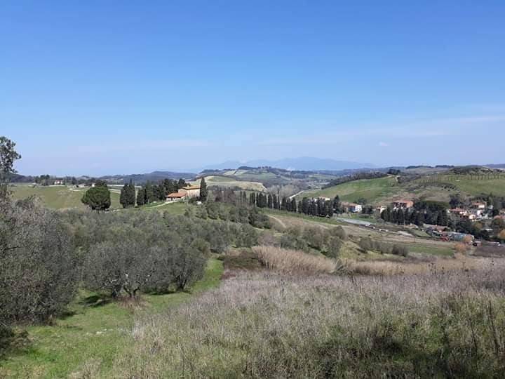Il Poggione: Dépendance degli scoiattoli — photo 3