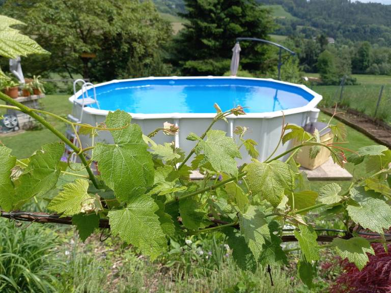 foto20