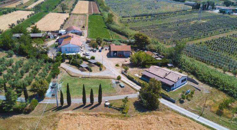 Agriturismo Ferri in Bibbona