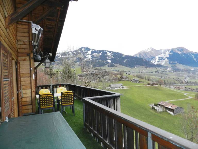 Apartment Gstaad