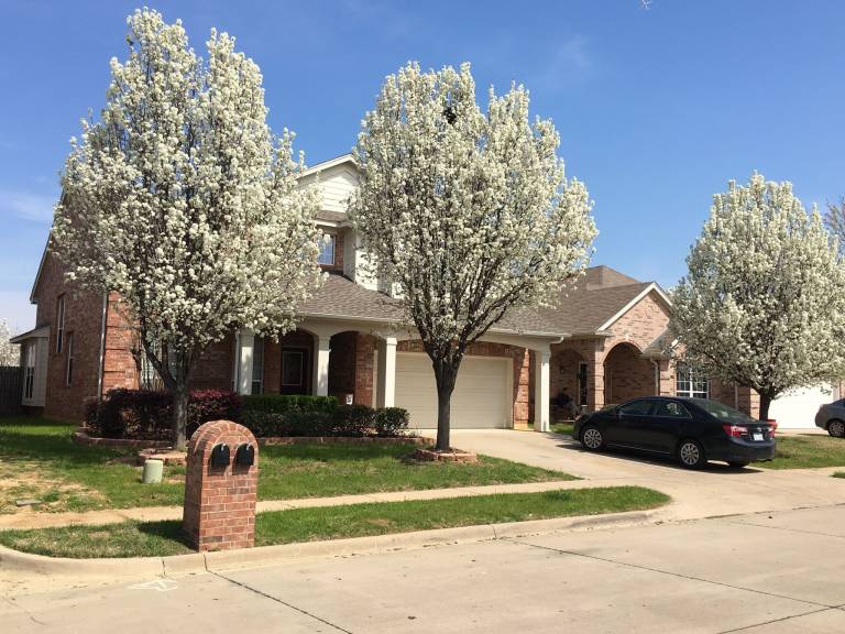 House  Central Arlington