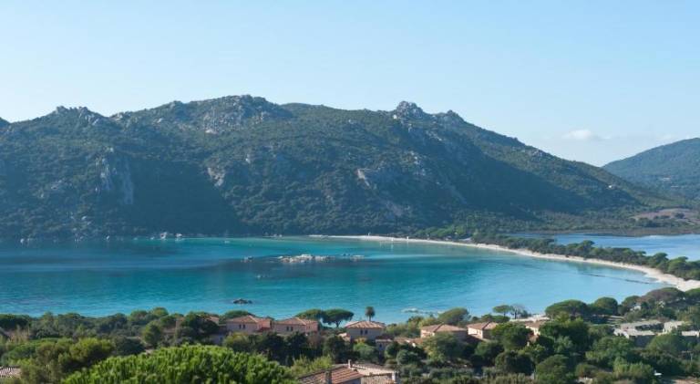Beautiful serviced apartment with pool & yard | Beach nearby | Pets allowed in Porto-Vecchio