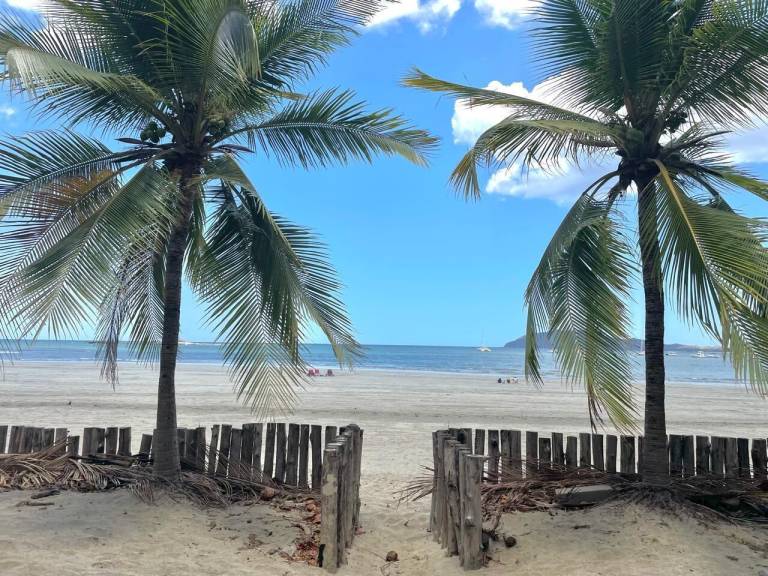 Appartement Tamarindo