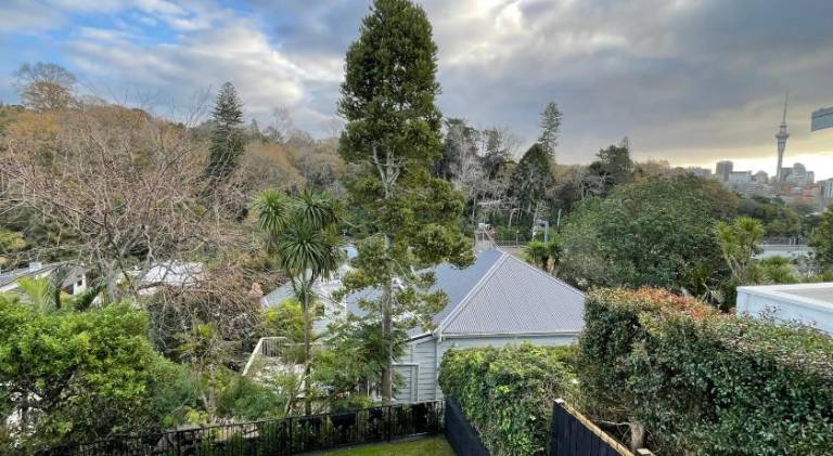 Villa | Near Auckland War Memorial Museum | Pet-friendly — photo 5