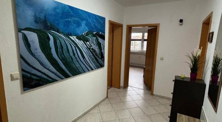 Rental apartment | Pet-friendly in Chemnitz