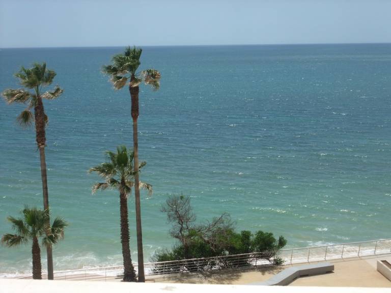 Apartamento Lagoa
