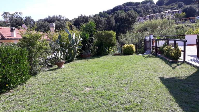 Holiday apartment with barbecue & yard — photo 2