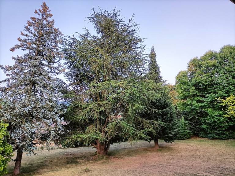 Chalet Saint-Paul-en-Chablais