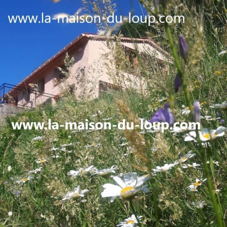 Maison de vacances Caussols