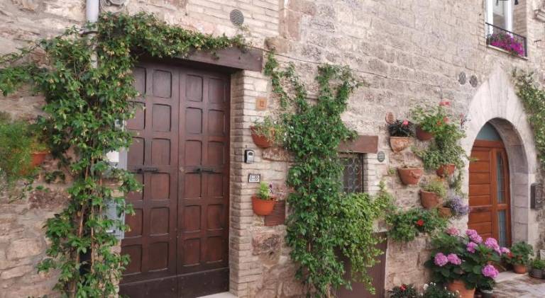 Apartment with 1 room for 3 persons in Assisi