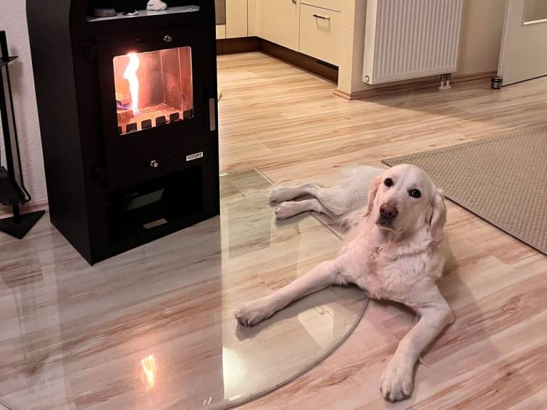 Ferienwohnung Graal-Müritz