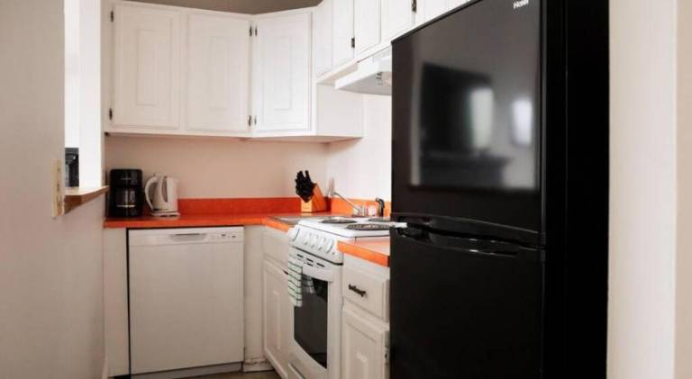 Spacious Fenway 1BR — photo 3
