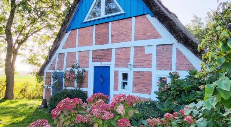 House with 2 rooms for 5 persons in Stade